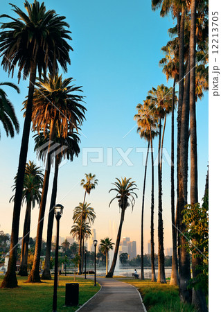 Los Angeles downtown 12213705