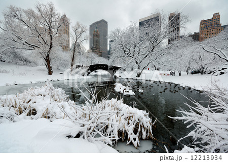 Central Park winter 12213934