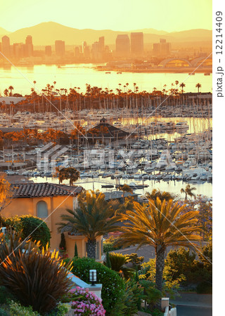 San Diego downtown 12214409