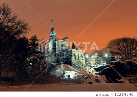 Central Park winter 12214540
