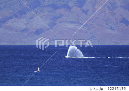 ラナイ島をバックに疾走する水上バイク 12215136