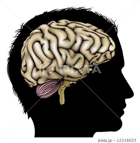 Man brain concept Man brain concept 12216025