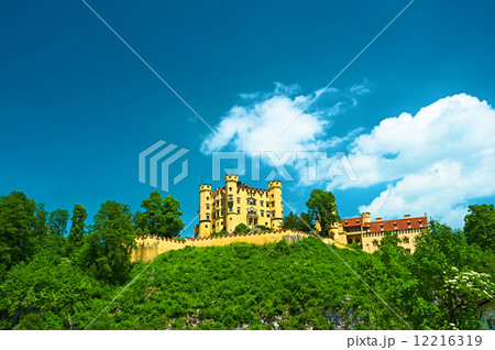 The castle of Hohenschwangau in Germany 12216319