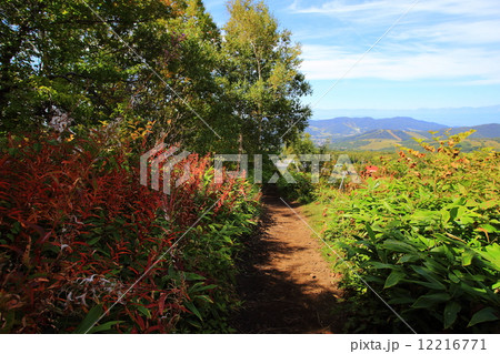 秋の菅平 秋の菅平 12216771