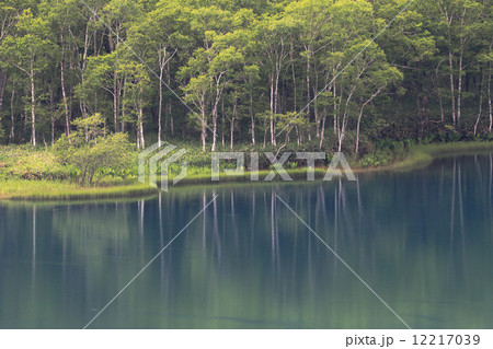 オコタンペ湖 12217039