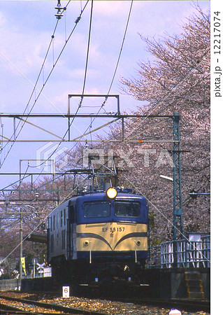 桜咲く野田城駅 12217074