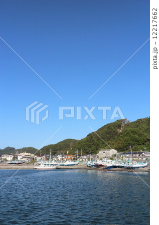 内房・金谷漁港 12217662