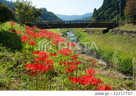 朝倉氏遺跡④ 12217707
