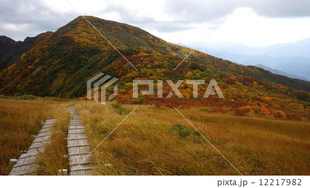 守門岳紅葉 12217982