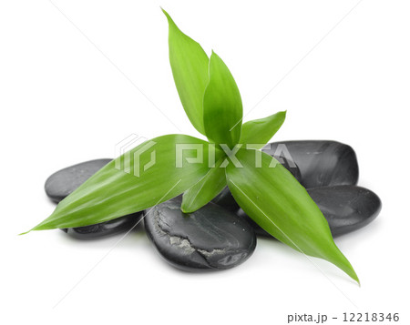 zen stones zen stones 12218346