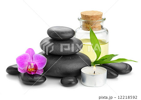 orchid 12218592