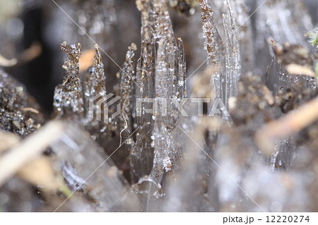 氷柱 12220274