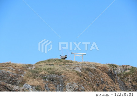 日御碕の経島　2014.09.23 12220501