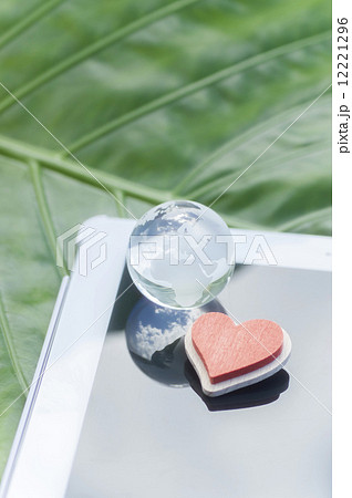 環境保護 12221296