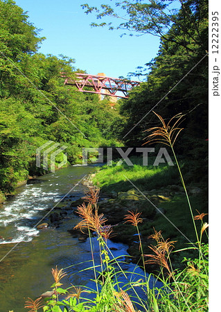 山中温泉渓流散策 12222395