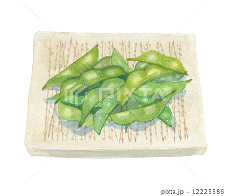 茹で枝豆 12225386
