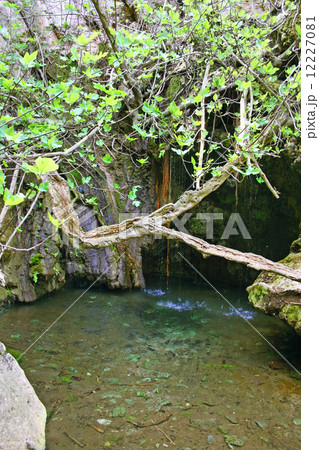 Baths of Aphrodite 12227081