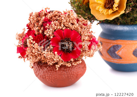 Flowers in vases Flowers in vases 12227420