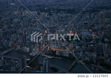 東京夕景 12227605