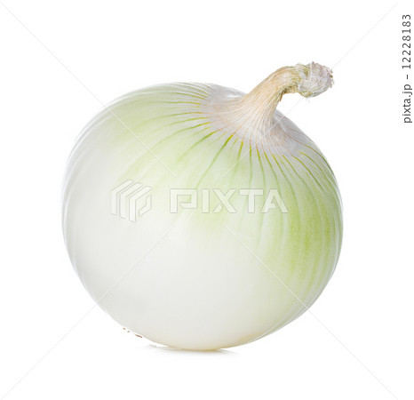 onion isolated on white background 12228183