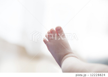 赤ちゃんの足 12228824