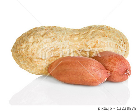 peanuts isolated on white background peanuts isolated on white background 12228878
