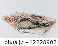 Economic crime, Handcuffs on money bills 12228902