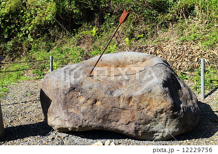 矢の根石 12229756