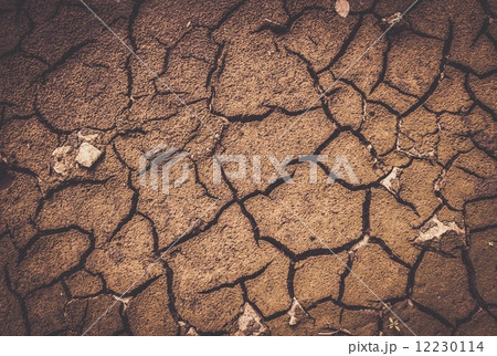 Dry soil texture 12230114
