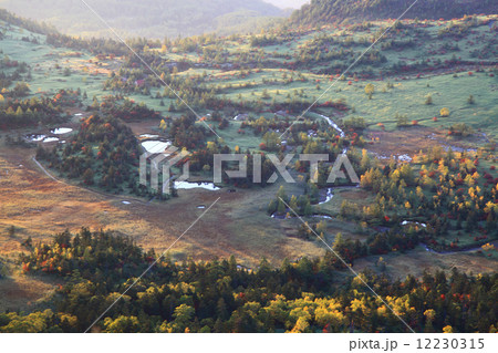 芳ヶ平 芳ヶ平 12230315
