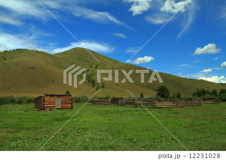 緑の大地 12231028