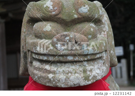 こまいぬ０３ 12231142