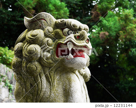 こまいぬ05の写真素材 [12231144] - PIXTA