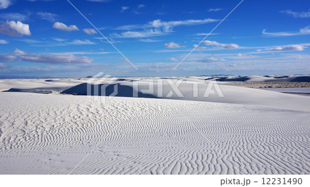 White Sands, New Mexico White Sands, New Mexico 12231490