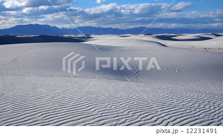 White Sands, New Mexico White Sands, New Mexico 12231491