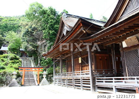 白髭神社 12231775