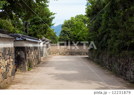 かいまがり 萩 かいまがり 萩 12231879
