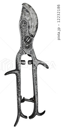 vintage pruning shears 12232186