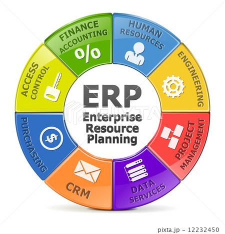 Vector ERP system 12232450