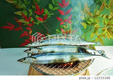 秋の味覚・七輪で焼く秋刀魚の塩焼き・横位置 12233166