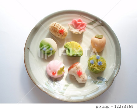 秋の和菓子 秋の和菓子 12233269