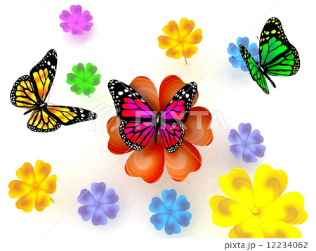 Butterfly and flowers on white background Butterfly and flowers on white background 12234062