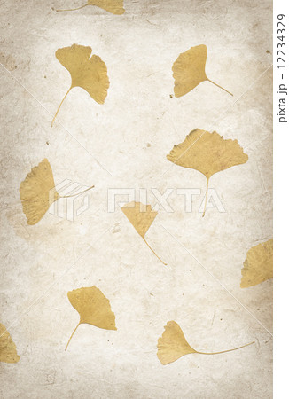 Handmade flower petal paper texture 12234329
