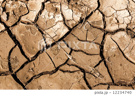 Dry soil 12234740