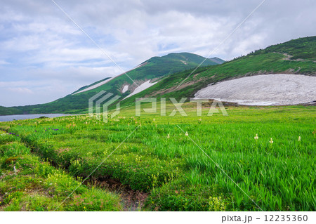 北アルプス、白馬大池 12235360