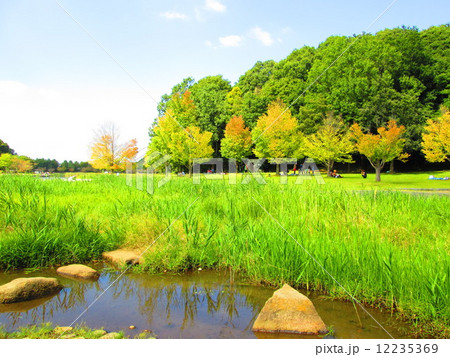 秋の訪れ 秋の訪れ 12235369