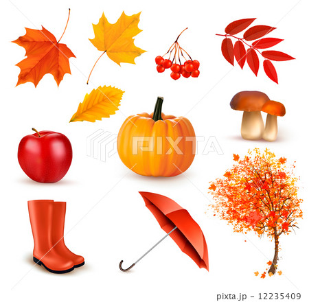 Set of autumn-themed objects. Vector 12235409