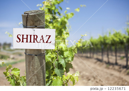 Shiraz Sign On Vineyard Post Shiraz Sign On Vineyard Post 12235671
