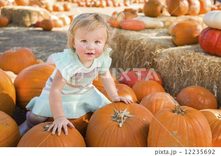 Adorable Baby Girl Holding a Pumpkin at the Pumpkin Patch Adorable Baby Girl Holding a Pumpkin at the Pumpkin Patch 12235692