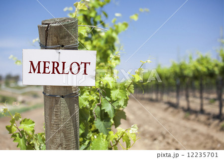 Merlot Sign On Vineyard Post 12235701